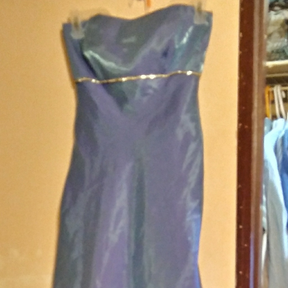 Size 10P, Betsy & Adam by: Jasline, formal gown